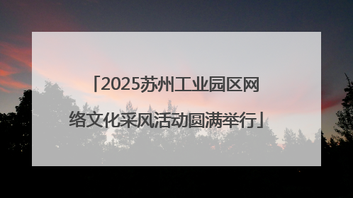 2025苏州工业园区网络文化采风活动圆满举行
