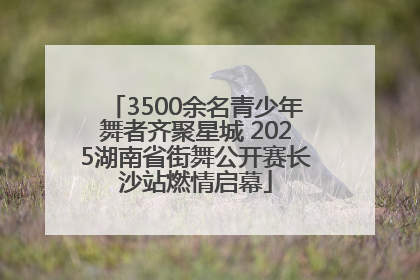 3500余名青少年舞者齐聚星城 2025湖南省街舞公开赛长沙站燃情启幕