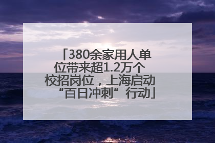 380余家用人单位带来超1.2万个校招岗位，上海启动“百日冲刺”行动