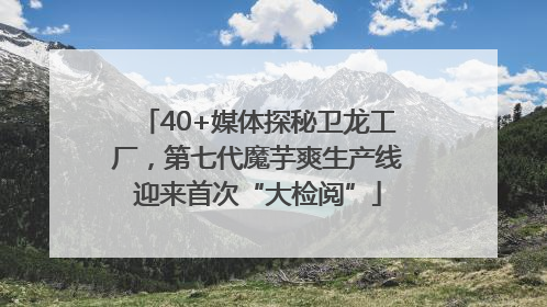 40+媒体探秘卫龙工厂，第七代魔芋爽生产线迎来首次“大检阅”