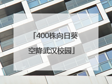 400株向日葵空降武汉校园