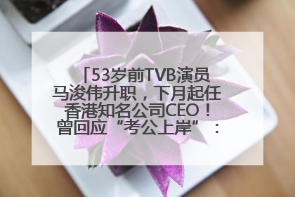 53岁前TVB演员马浚伟升职，下月起任香港知名公司CEO！曾回应“考公上岸”：真不是公务员