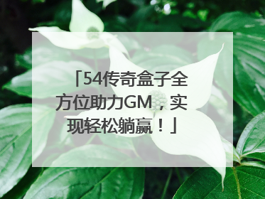 54传奇盒子全方位助力GM，实现轻松躺赢！