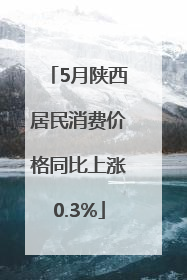 5月陕西居民消费价格同比上涨0.3%