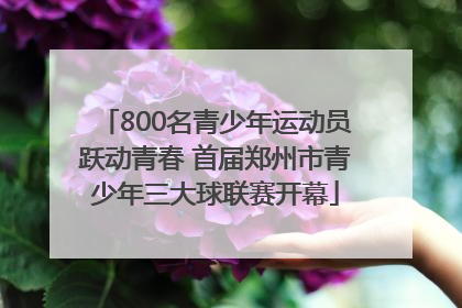 800名青少年运动员跃动青春 首届郑州市青少年三大球联赛开幕
